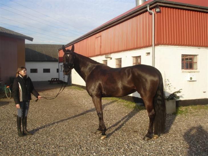 {{currentPhoto.altText}} billede {{currentPhoto.number}}