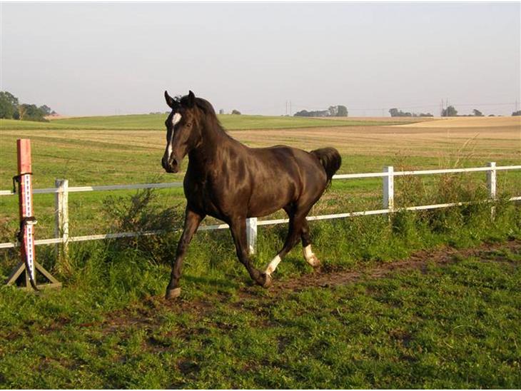 {{currentPhoto.altText}} billede {{currentPhoto.number}}