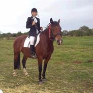 Anden særlig race Piaff