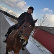 Anden særlig race Piaff