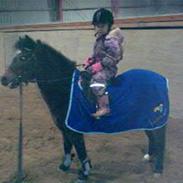 Dartmoor Amalie Ronda Chili solgt