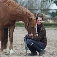 DSP Holmgaard Mesann 