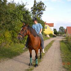 Anden særlig race Bakkelygård's Flicka <3