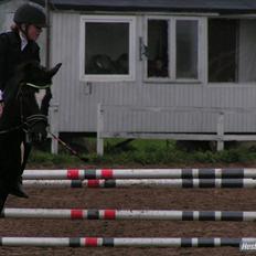 New Forest Lundtoft bendii