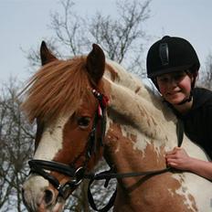 Anden særlig race Pinocchio *SOLGT /':*