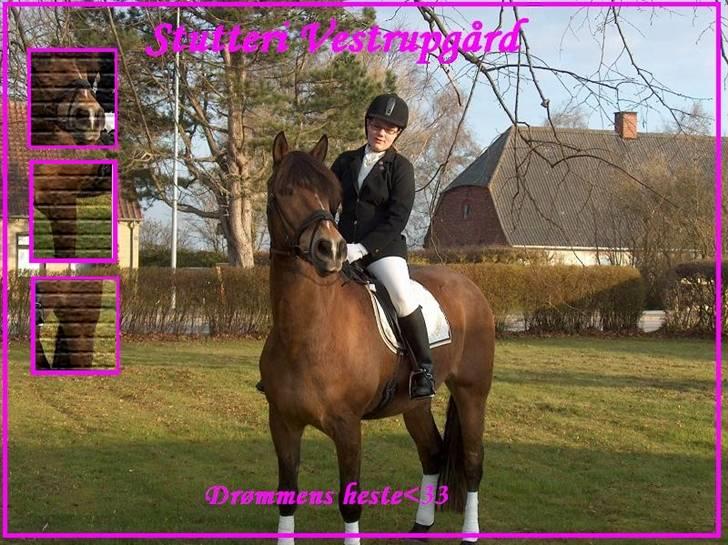 Anden særlig race Léblis - endnu et logo, synes det er det bedste<3 :) billede 13