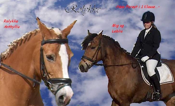 Anden særlig race Léblis - har jeg selv lavet, den røde er min gamle pony der desværre er død og det er leblis den gang man kunne ride stævner på hende. billede 14