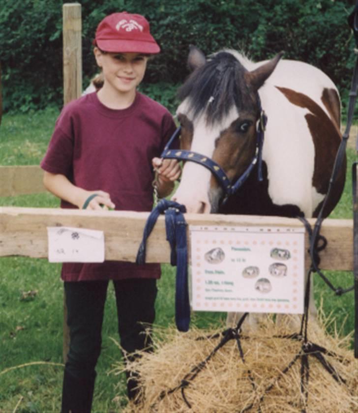 Anden særlig race Pinocchio billede 8