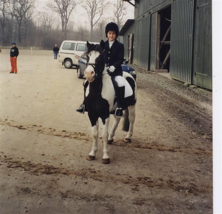 Anden særlig race Pinocchio - Første rigtige stævne på MLR for maaange år siden.! billede 9