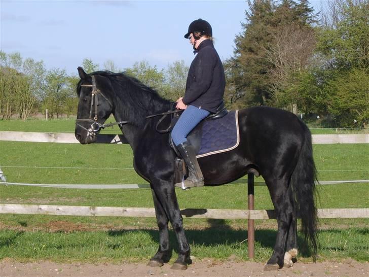 Oldenborg fjummer billede 1