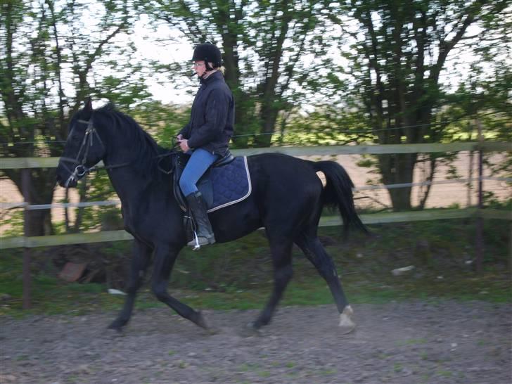 Oldenborg fjummer billede 5