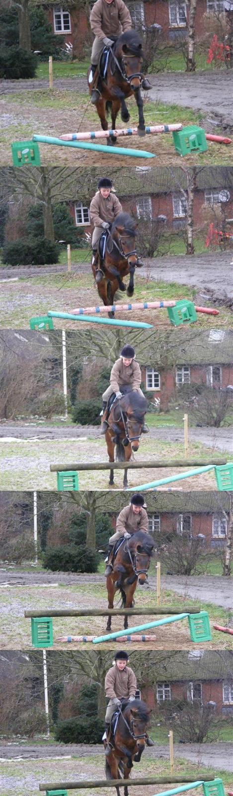 Dartmoor Disgo ronda billede 16