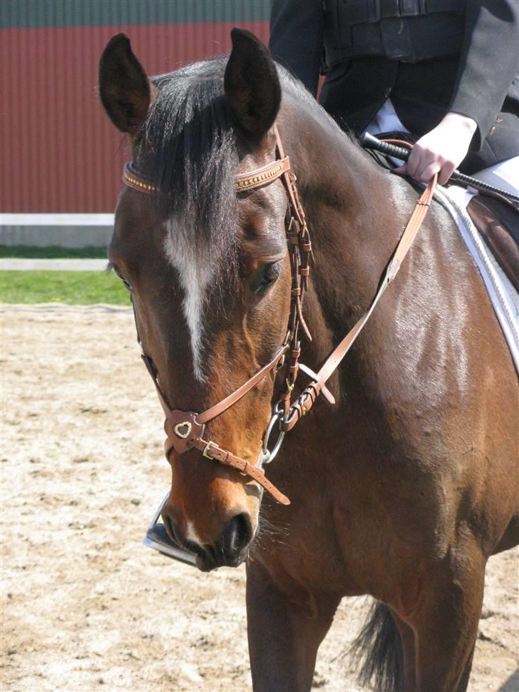 Traver Discovery - Opvarmning til Maribo cup . . . Foto: Vinni Hansen billede 1