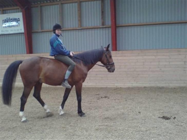 Traver Discovery - På ridelejr 2007 billede 2