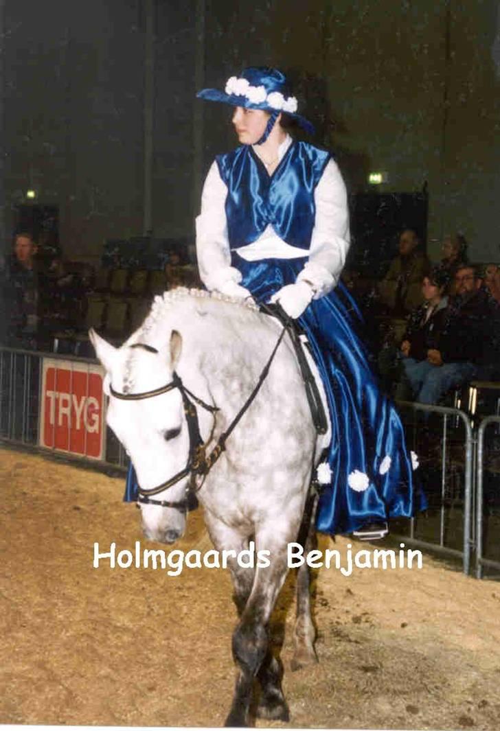 DSP Holmgaards Benjamin (RIP) billede 4