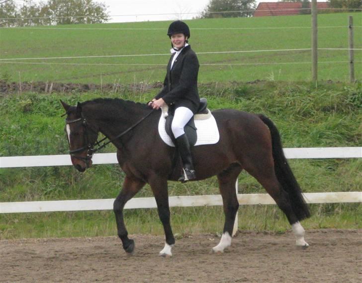 Traver Discovery - Opvarmning til dressurstævne i MARK :D 1/11-08 billede 4