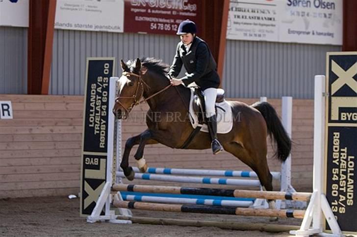 Traver Discovery - Til springstævne i MARK.. 40 cm. Foto: Hanne Bratholm billede 5