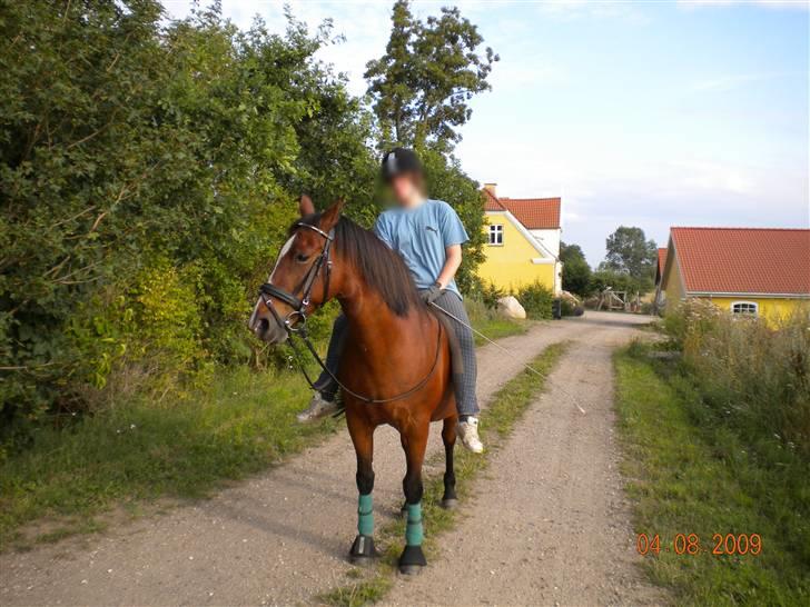 Anden særlig race Bakkelygård's Flicka <3 - En tur op til byen sammen med Michelli ♥
040809  billede 3