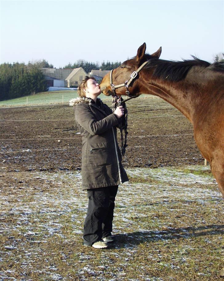 Anden særlig race Flying Allegro (R.I.P) - 2½ år billede 9