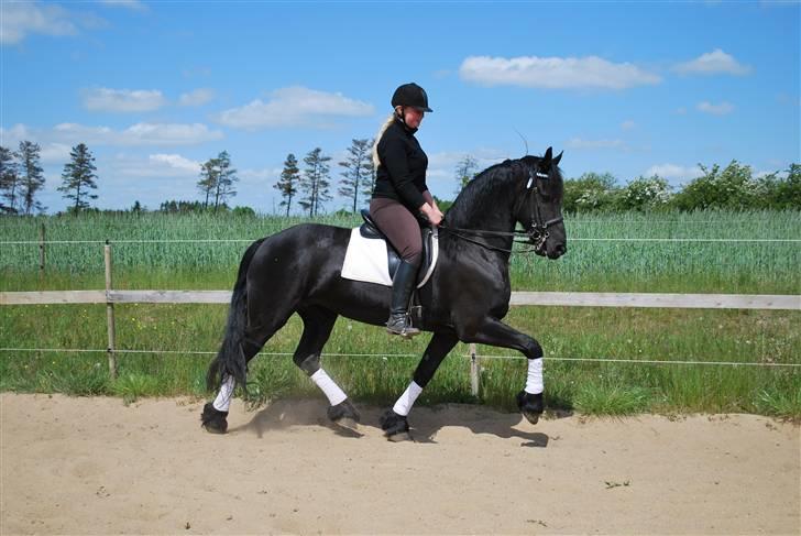 Frieser antoinette billede 11