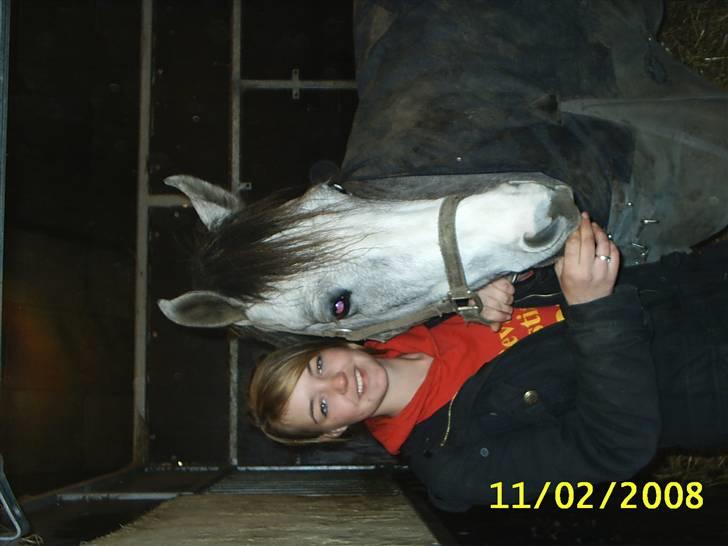 Anden særlig race Prins Fleur(Solgt og har ændret navn) billede 20