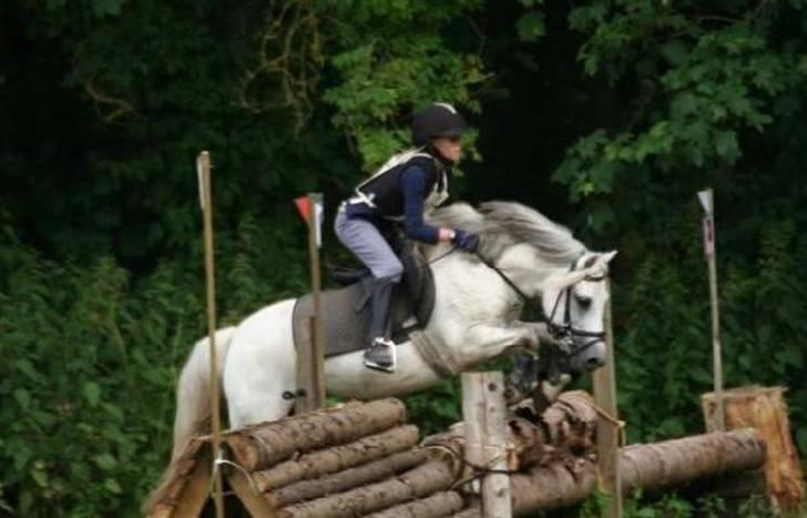 Welsh Pony (sec B) Søborggårds Silver *x-part* <3 - Militarystævne i Haslev igen! :D Starter faktisk CNCP80 <33 billede 11