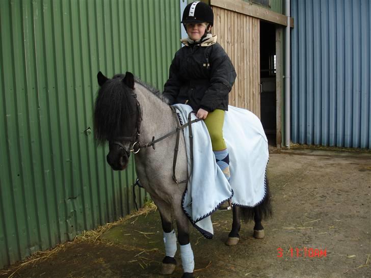 Anden særlig race Hubert billede 5
