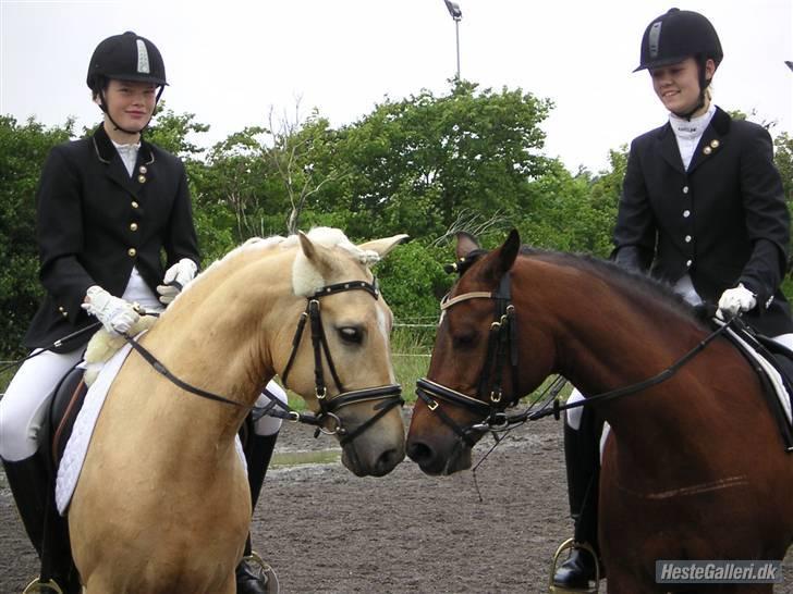 Palomino Lysholt'S Pegasus SOLGT - Karoline og Delta.. Pegasus og jeg <3 billede 5