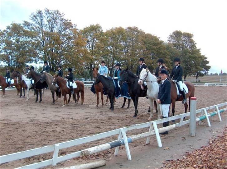 New Forest Sasha - her er alle dem der har deltaget i klub-mester skabet, og jeg var en af dem hihi.. venter på vi skal ride æres runte i en galop! :) :-D billede 4