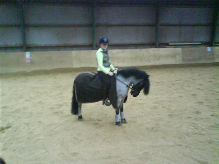 Anden særlig race Hubert billede 9