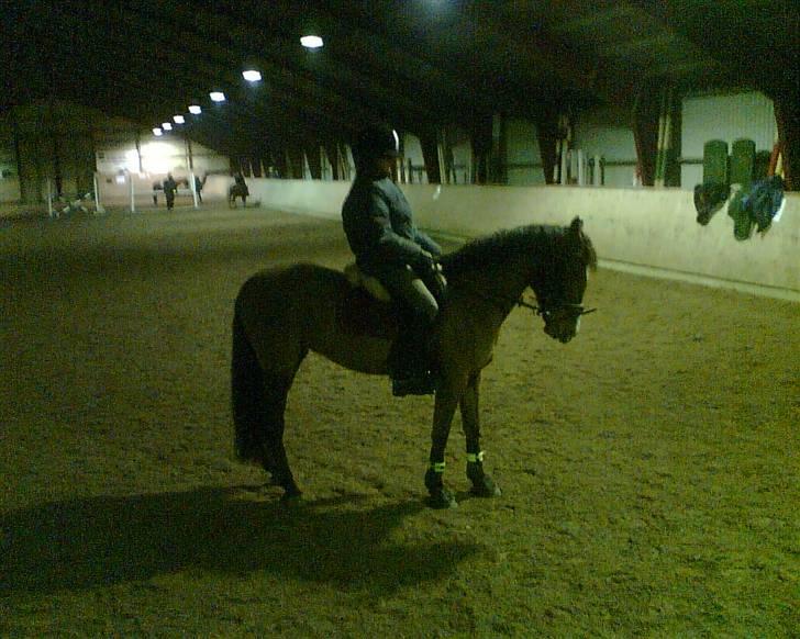 Anden særlig race Luna [SOLGT!] - Luna og jeg,. billede 9