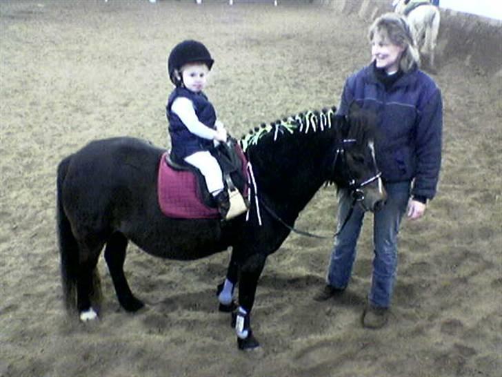 Dartmoor Amalie Ronda Chili solgt - Min lille rytter Stephanie som er 2½ år her billede 3