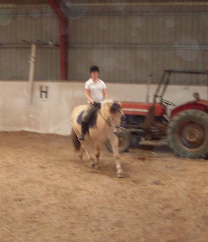 Fjordhest Aadalens Klaus  - Dressurundervisning :D undskyld kvaliteten.. billede 7