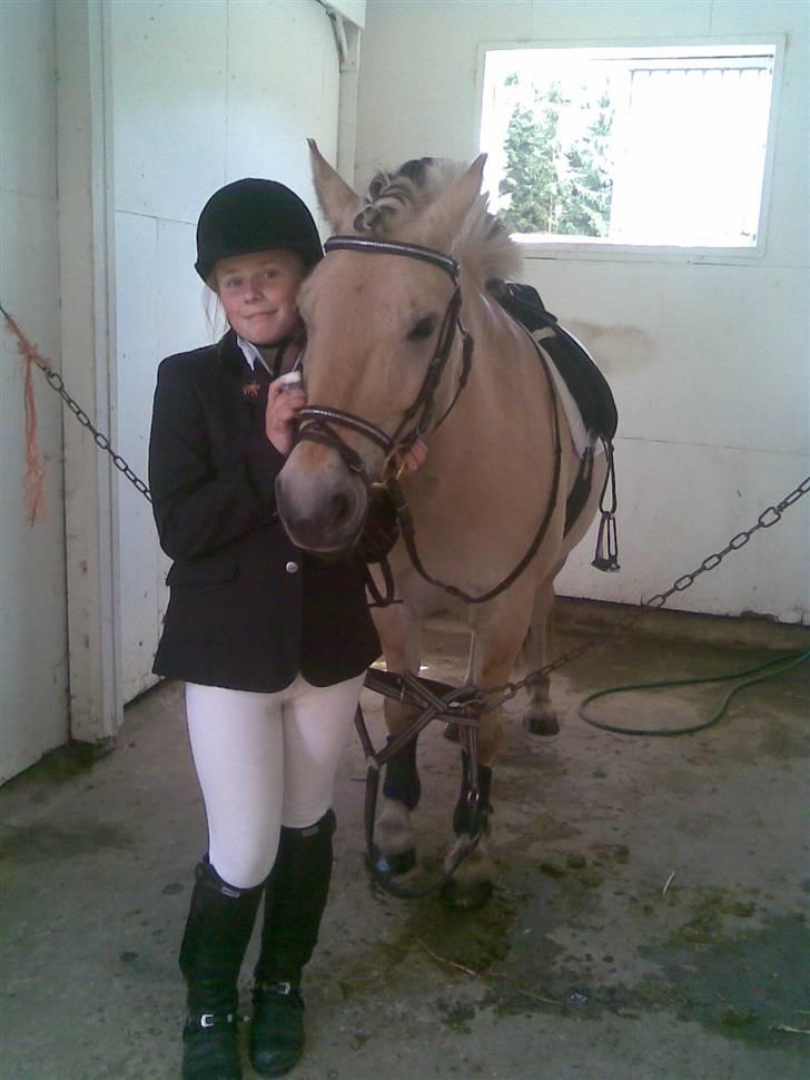 Fjordhest Aadalens Klaus  - Klaus & Sara inden deres første stævne sammen ( : billede 10