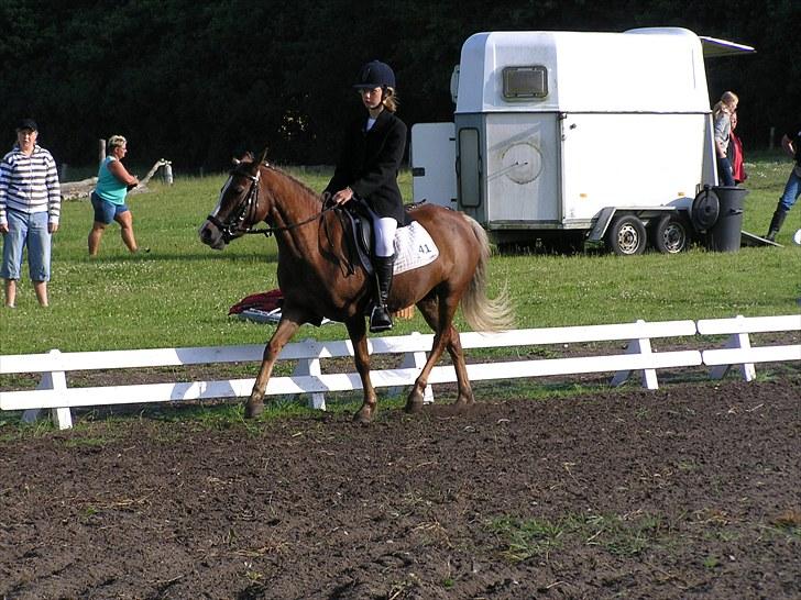 Anden særlig race Vestergårdens Sweet Alibi - stævne i krage lund:P billede 3