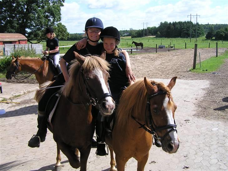 Anden særlig race Vestergårdens Sweet Alibi - Mig og Amanda på Sweety og Charlie til ridelejre i Kongsvad billede 7