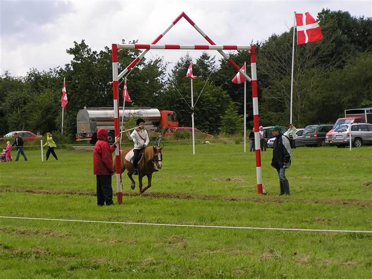 Anden særlig race Charlie †R.I.P.(aflivet)† - Charlie og Amanda til ringridning billede 14