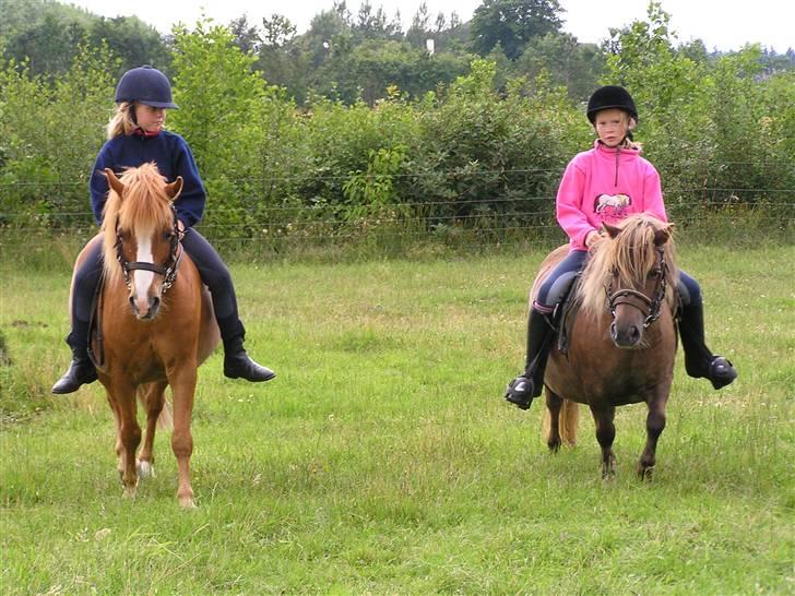 Anden særlig race Charlie †R.I.P.(aflivet)† - Amanda på Candy og Maiken på Charlie billede 20