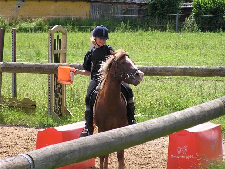 Anden særlig race Vestergårdens Sweet Alibi - Mig og Sweety i Kongsvad billede 20