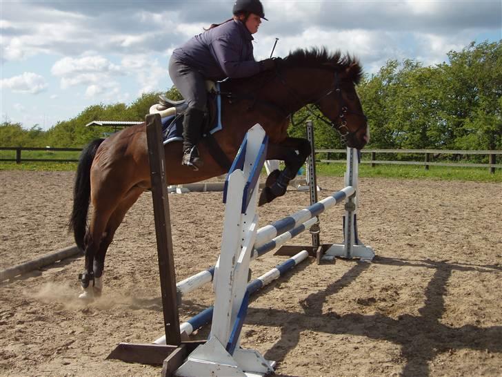 New Forest Tarzan - Springundervisning billede 9