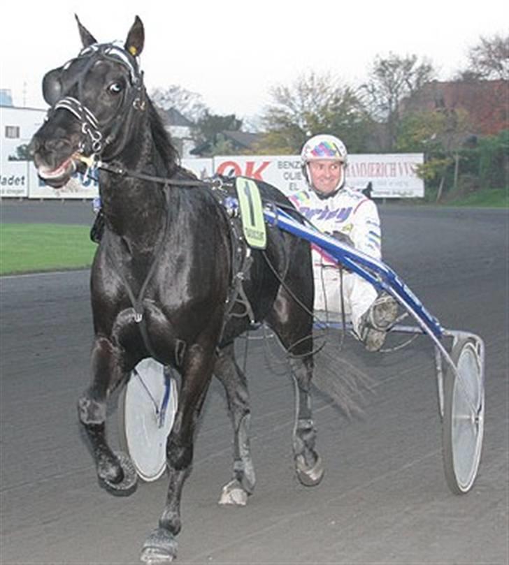 Traver Hero Line - Hero som vinder på lunden billede 1