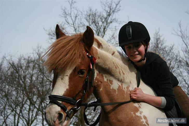 Anden særlig race Pinocchio *SOLGT /':* - Velkommen til Pinocchio´s profil. fotograf: Nikita billede 1