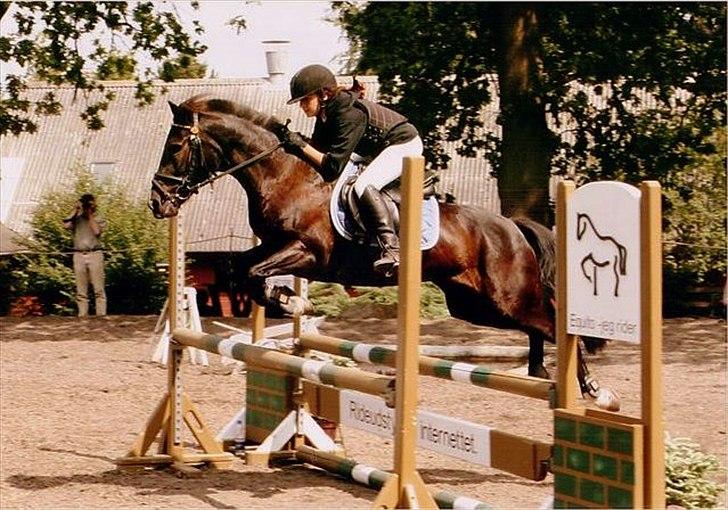 Hollandsk Sportspony - Lady Black  - Spring stævne på EGE i 2007 billede 2