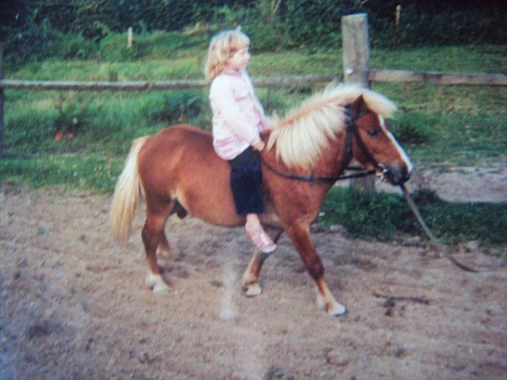 Shetlænder Felix - Mig som lille og rider på Felix :D <3 billede 17