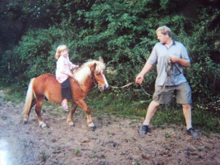 Shetlænder Felix - Mig der rider på Felix som lille og min far der trækker ;) <3 billede 18