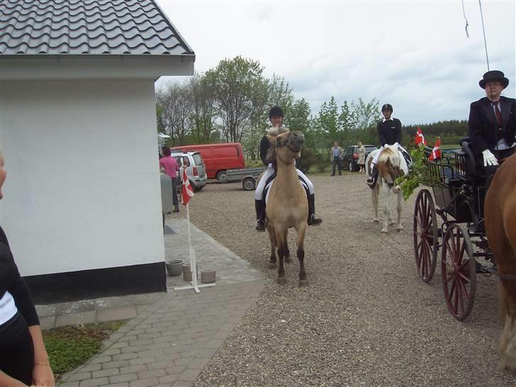 Anden særlig race Nali - Hvil i fred <3 - du har dine særheder, men jeg elsker dig!  billede 11