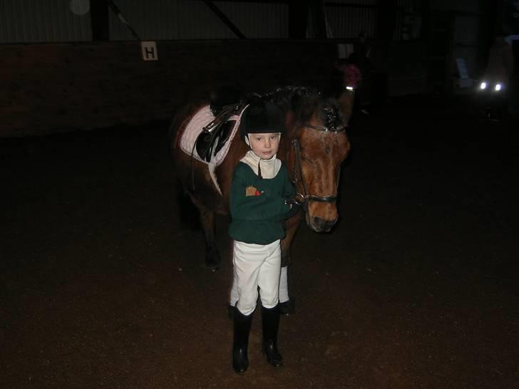 Anden særlig race Flacki *Sille's* billede 8