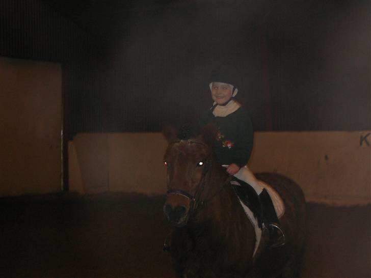 Anden særlig race Flacki *Sille's* billede 9