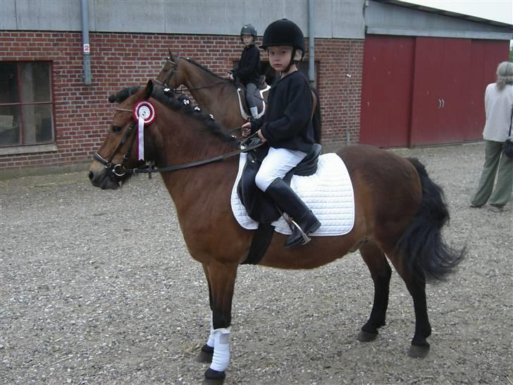 Anden særlig race Flacki *Sille's* billede 12