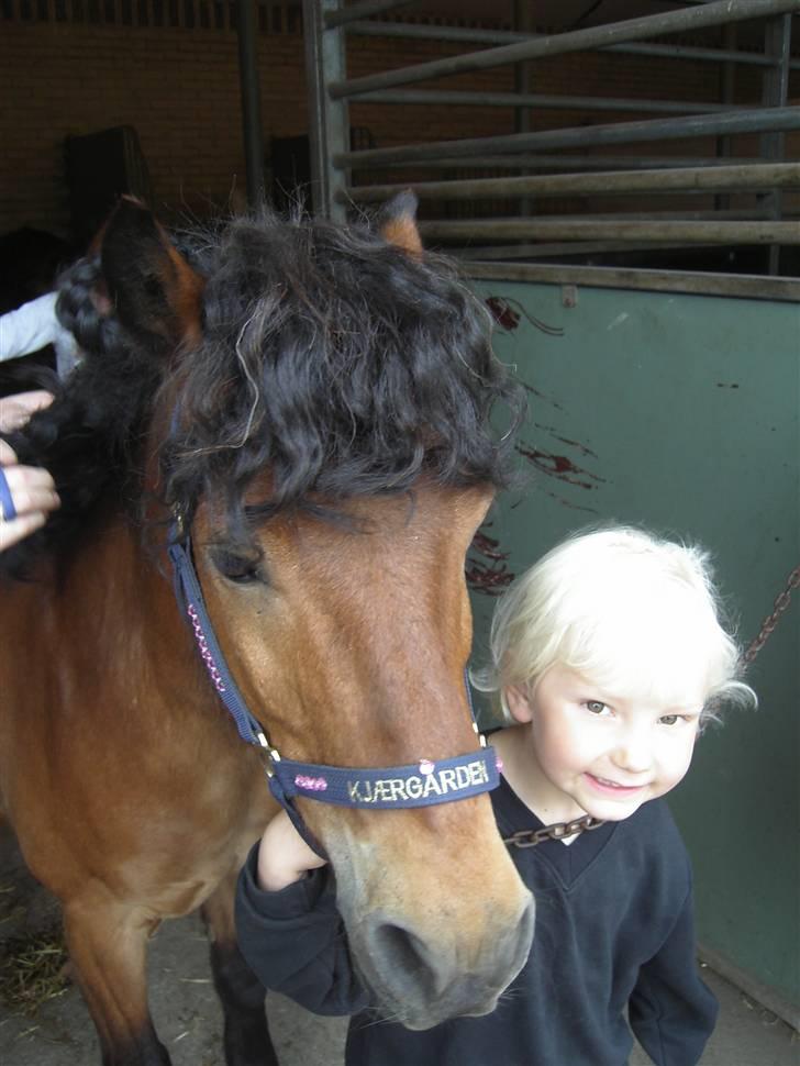 Anden særlig race Flacki *Sille's* billede 13